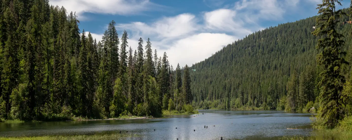 Living in Ammon, Idaho: What to Know Before You Move