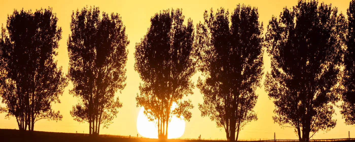 Living in Blackfoot, Idaho