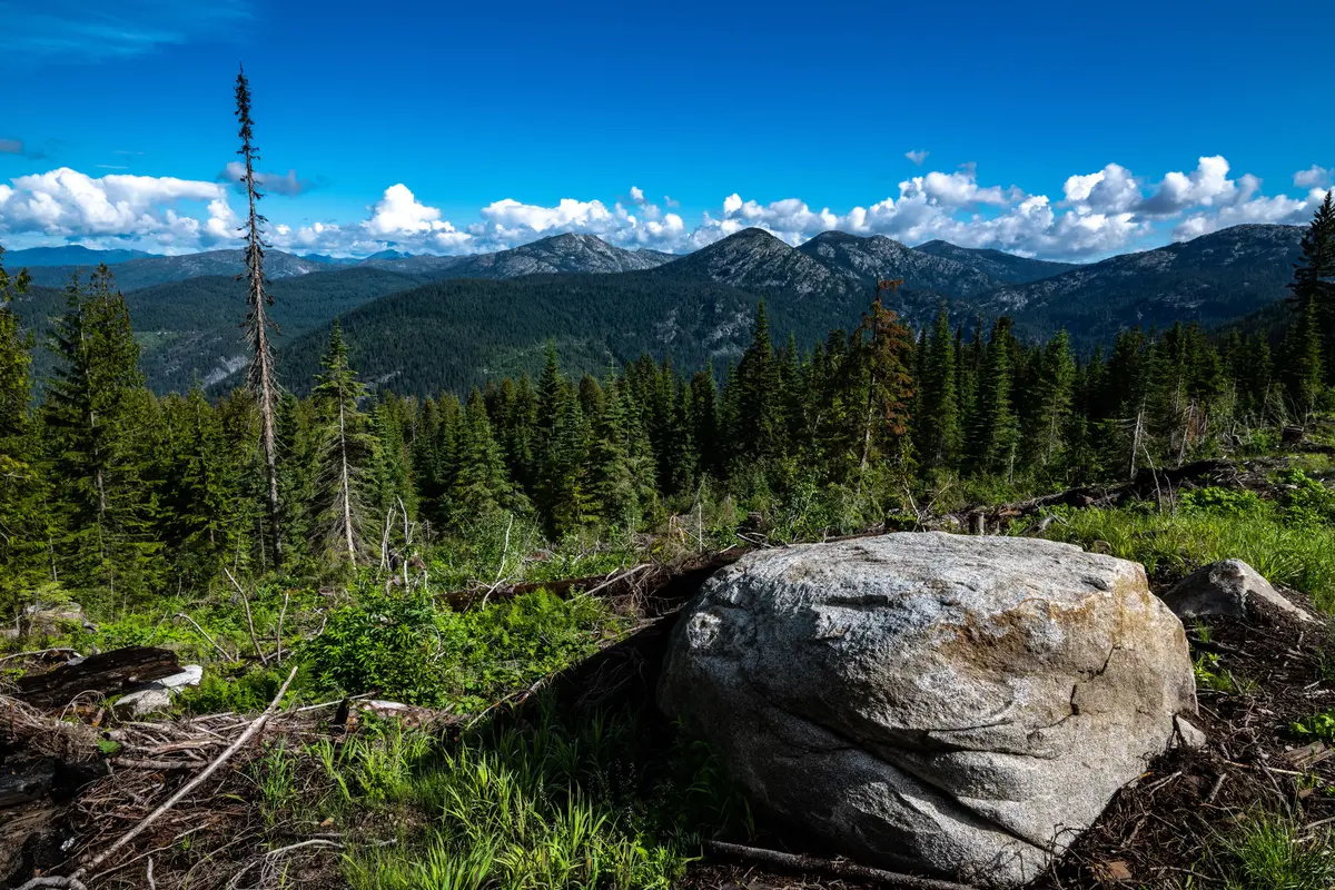 Bonners Ferry scenery