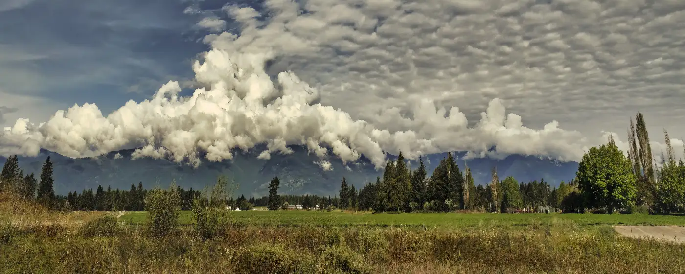 Bonners Ferry scenery