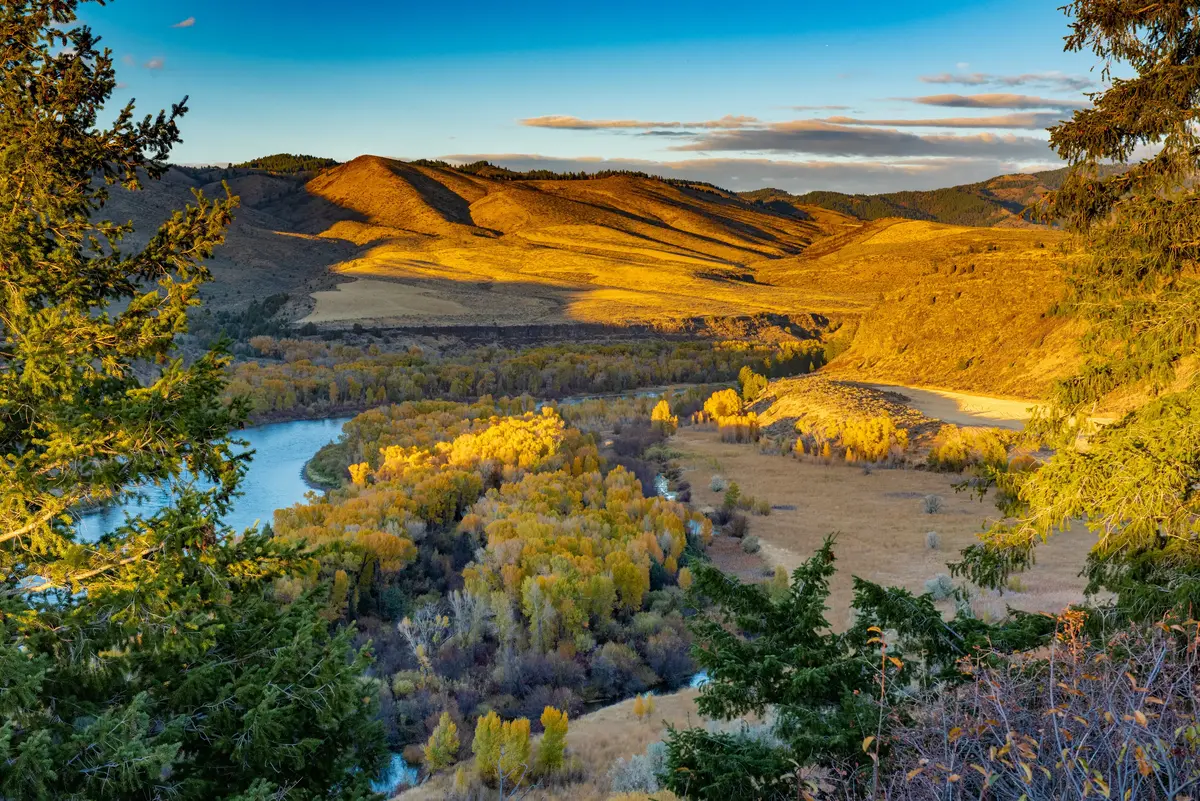 Fruitland