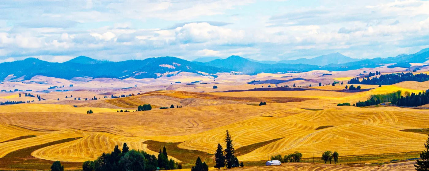 Living in Moscow, Idaho: What to Know Before You Move