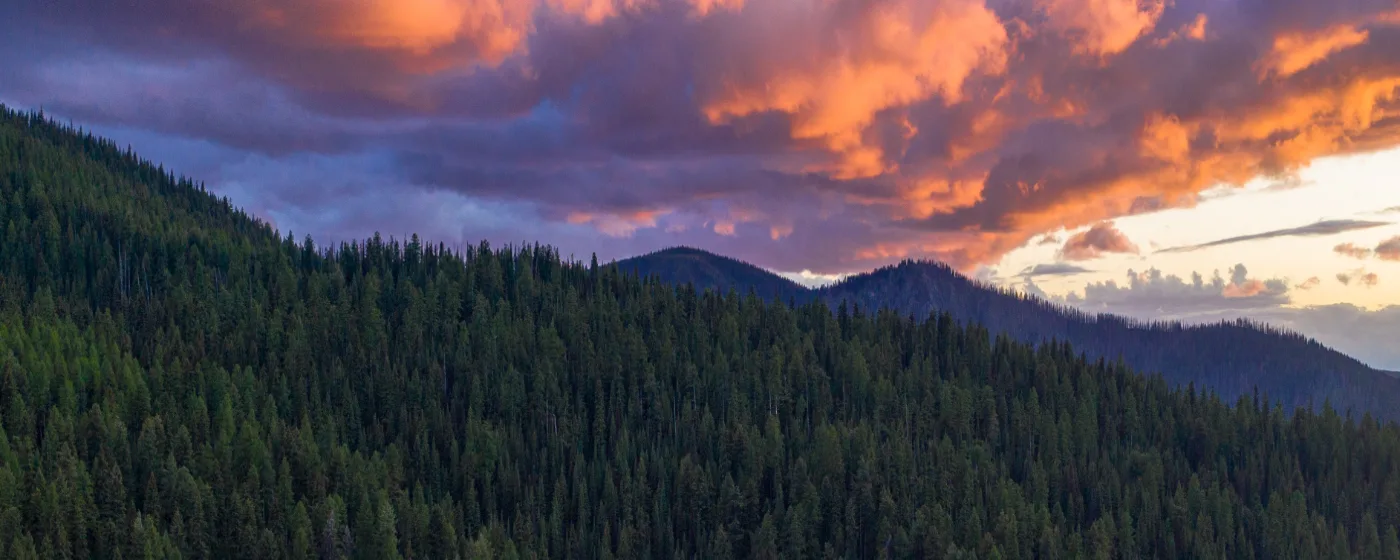 Living in Orofino, Idaho: What to Know Before You Move
