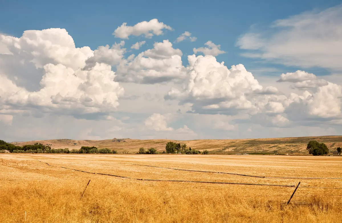 Pocatello