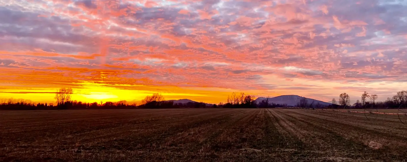 Living in Rigby, Idaho: A Local's Guide to the City That Invented Television