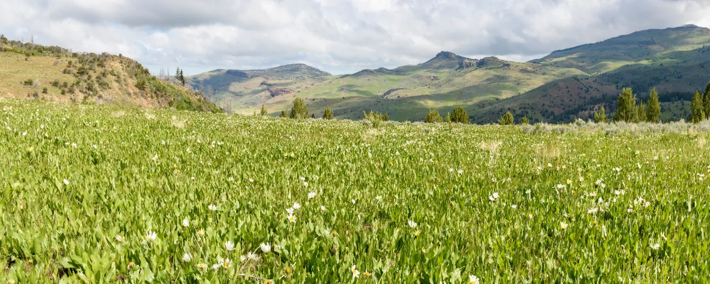 Living in Shelley, Idaho: What to Know Before You Move