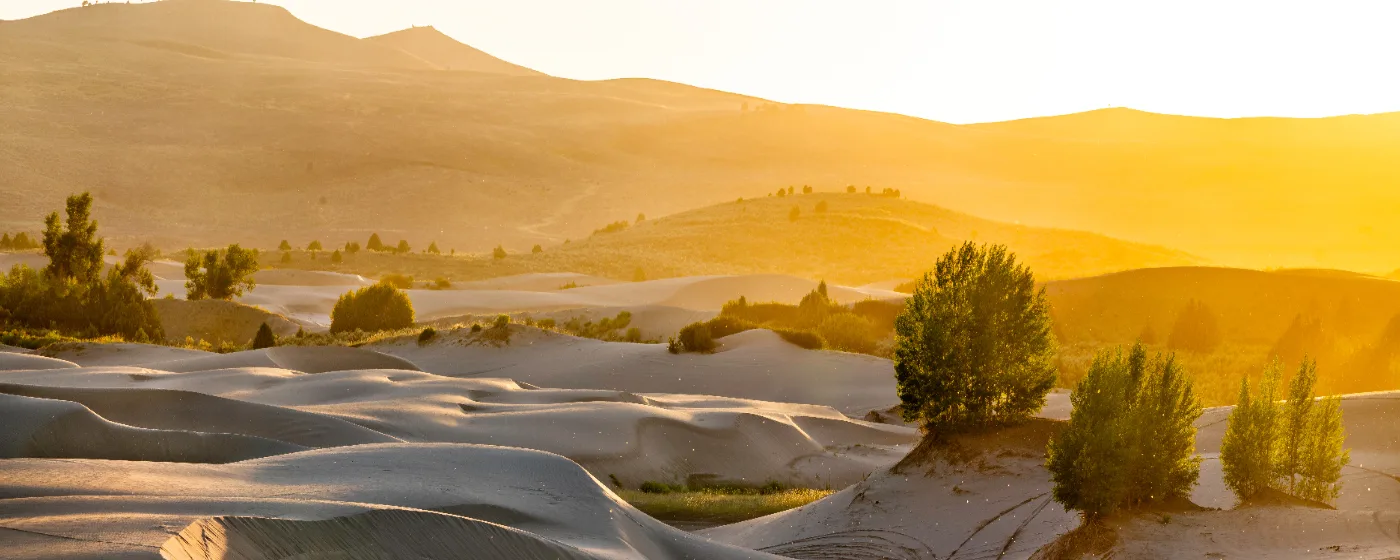 Living in St. Anthony, Idaho: What to Know Before You Move