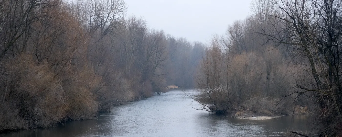 Living in Star, Idaho