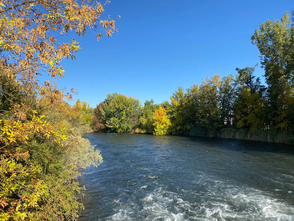 Weiser