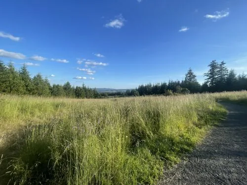 Beaverton