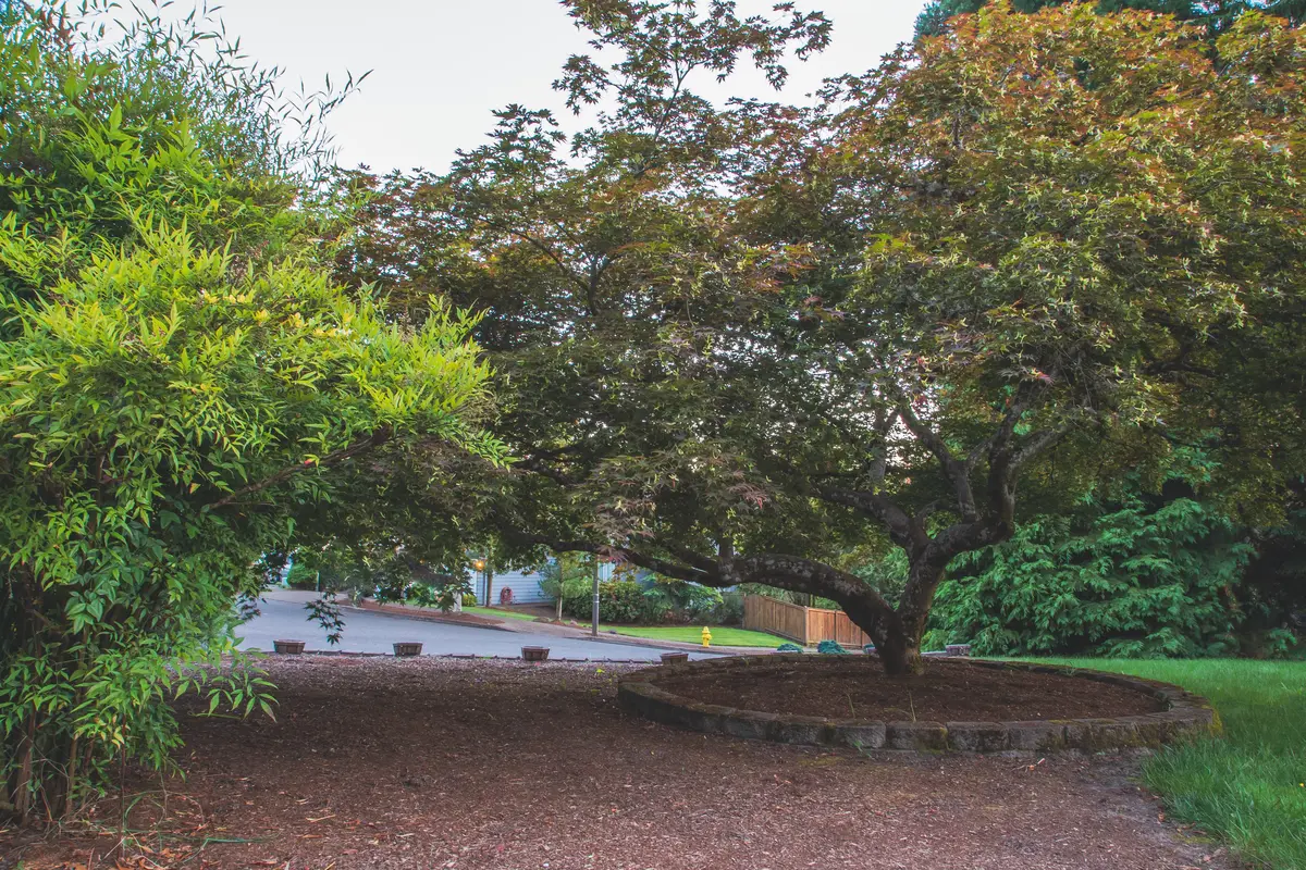Bethany scenery