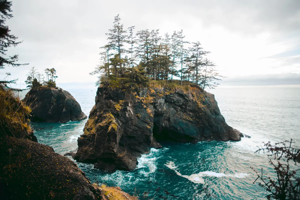 Brookings scenery