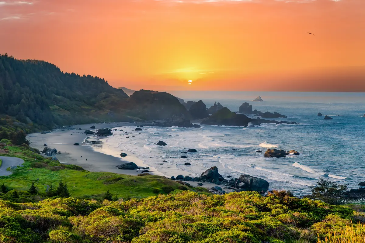 Brookings scenery