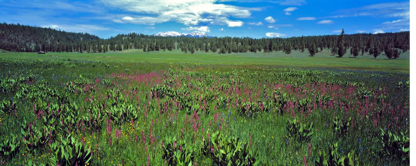 Living in Burns, Oregon: What to Know Before You Move