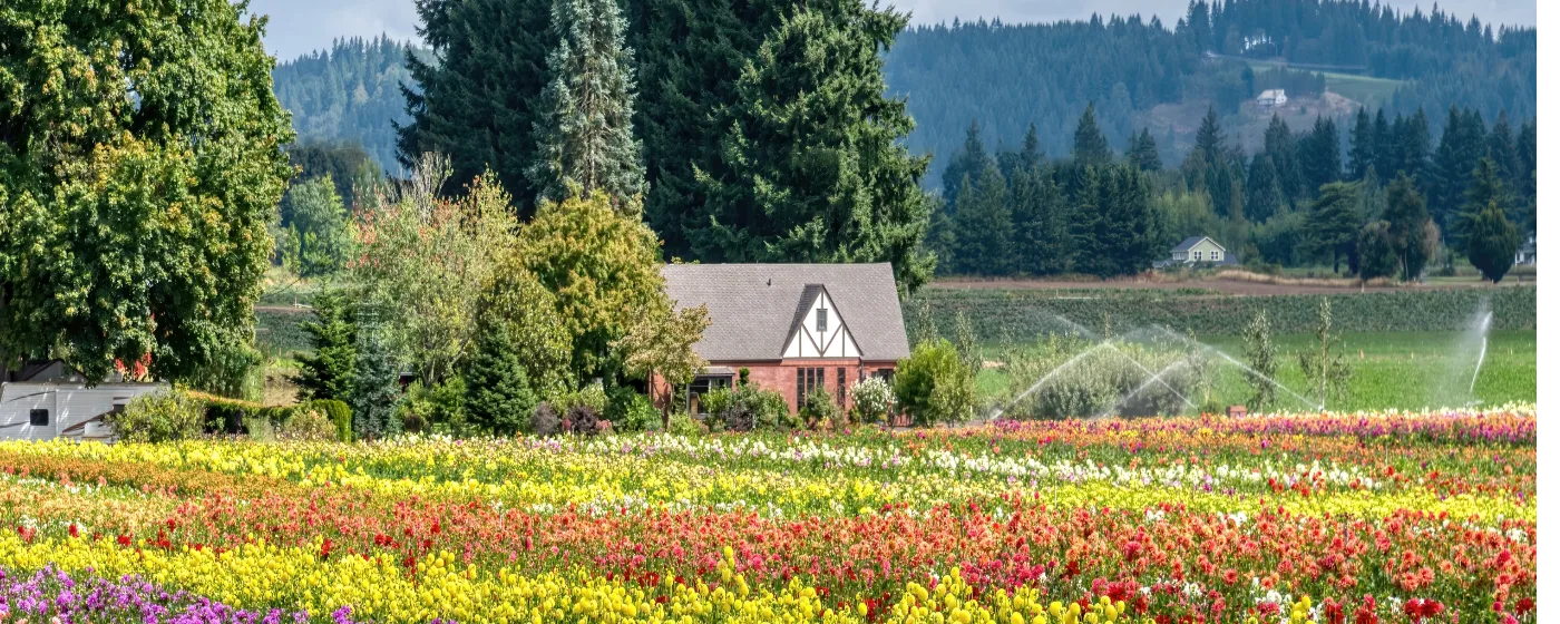 Living in Canby, Oregon: What to Know Before You Move