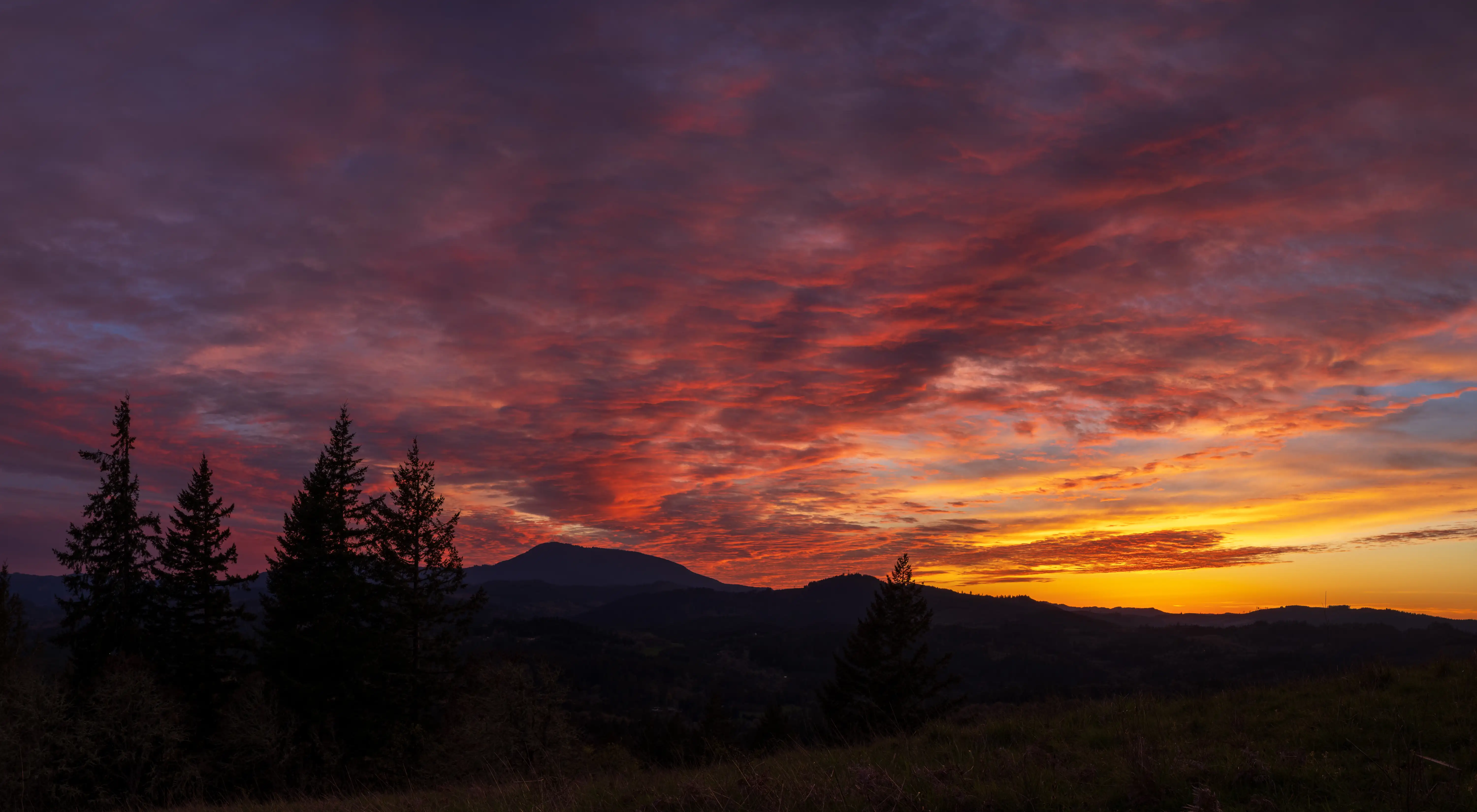 Living in Corvallis, Oregon
