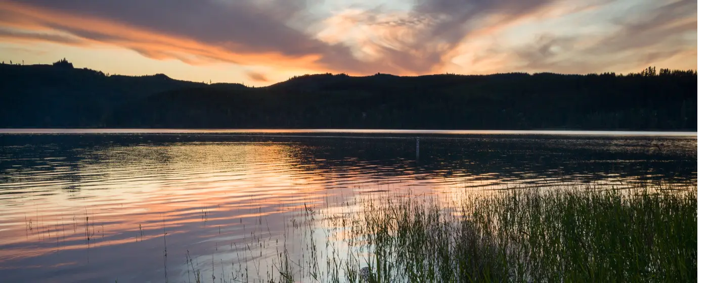 Living in Cottage Grove, Oregon: What to Know Before You Move