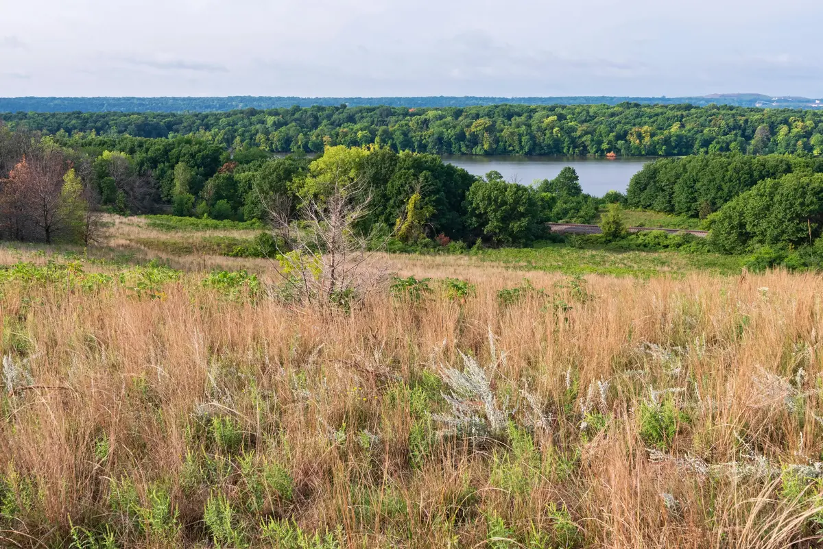 Cottage Grove scenery