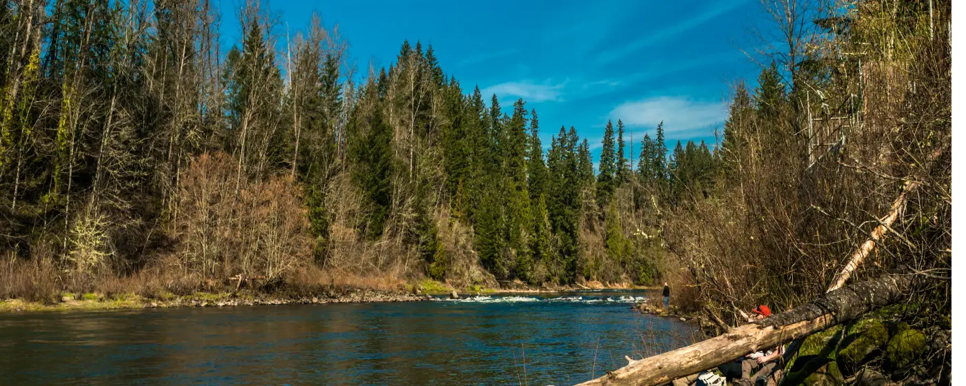 Living in Estacada, Oregon: A Local's Guide to Moving Here