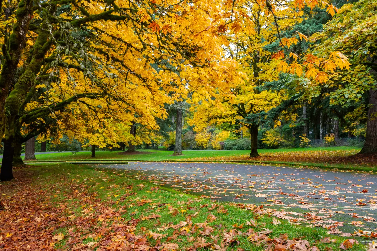 Estacada scenery