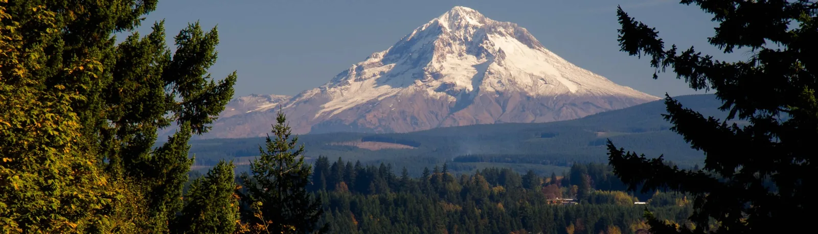 Estacada
