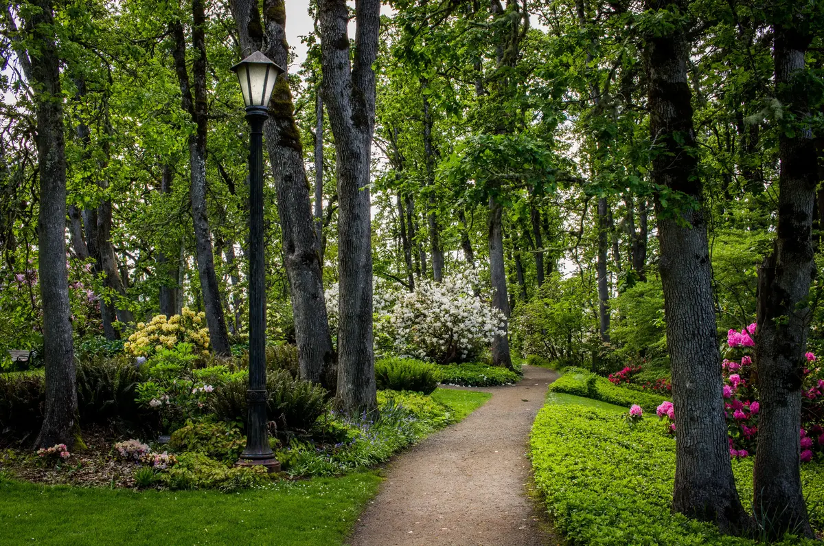 Eugene scenery