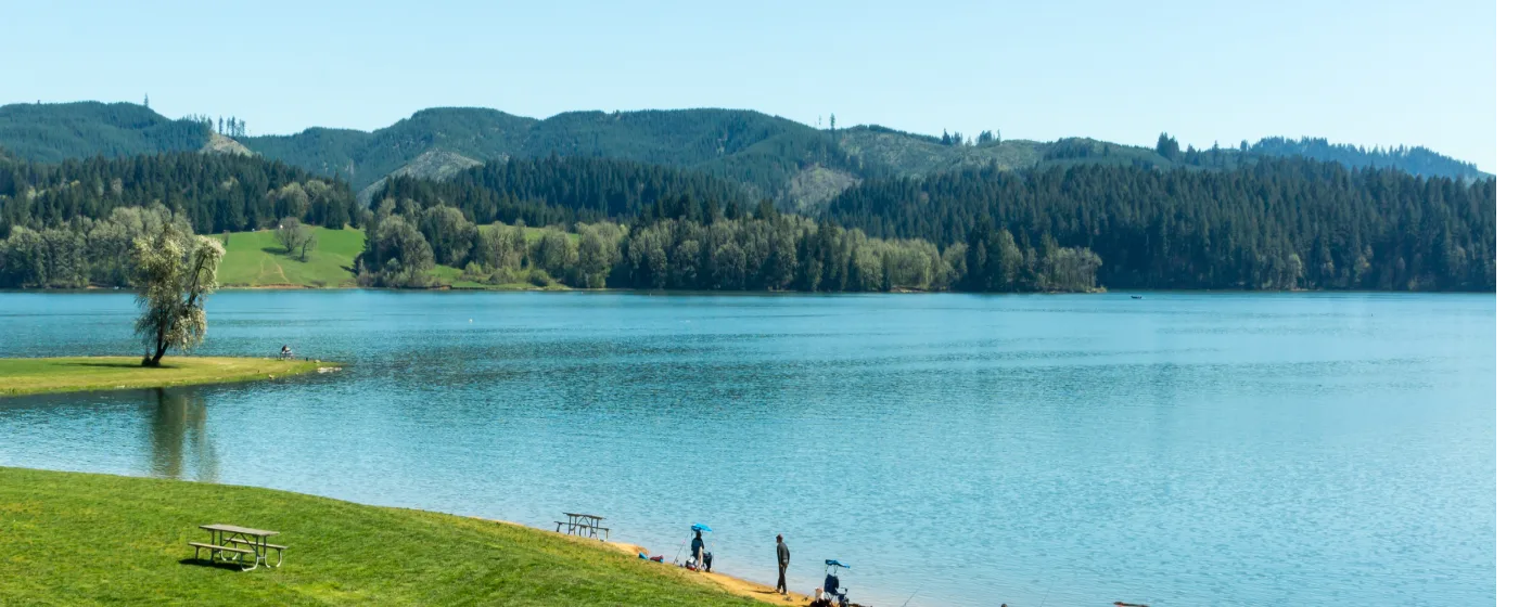 Living in Forest Grove, Oregon: What to Know Before You Move