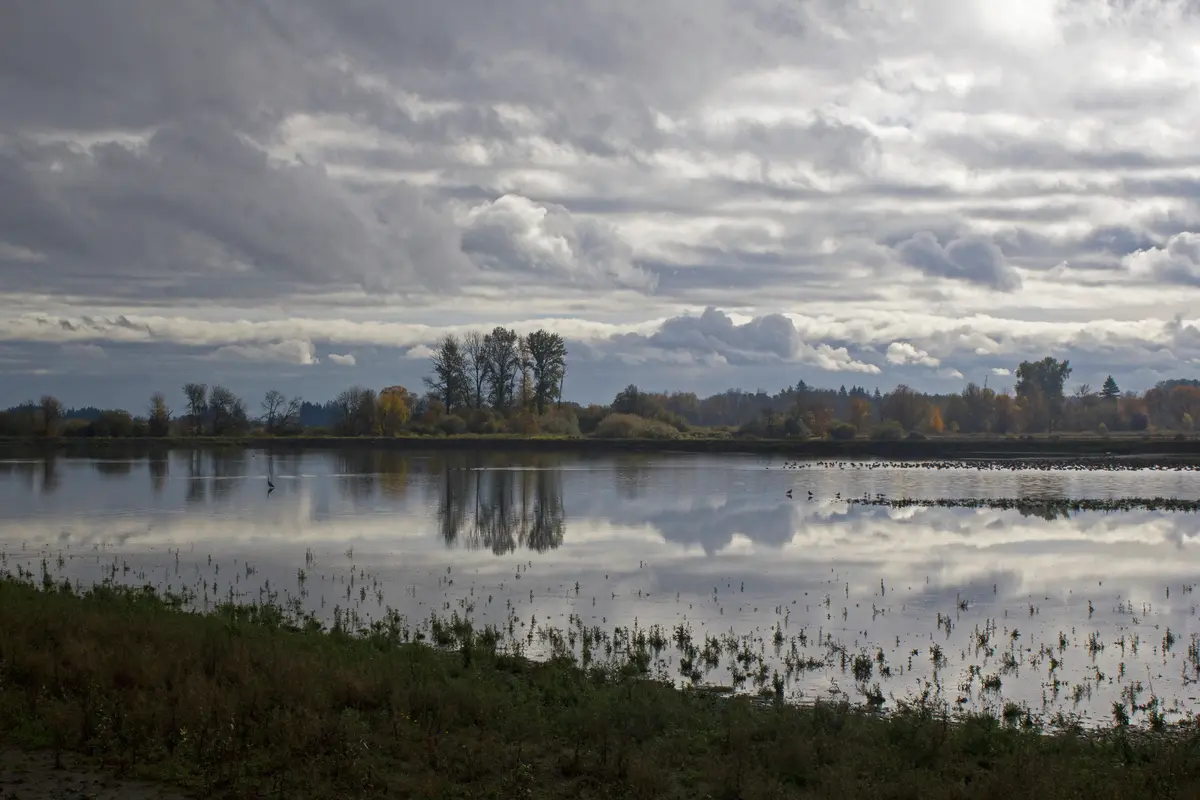Forest Grove neighborhood
