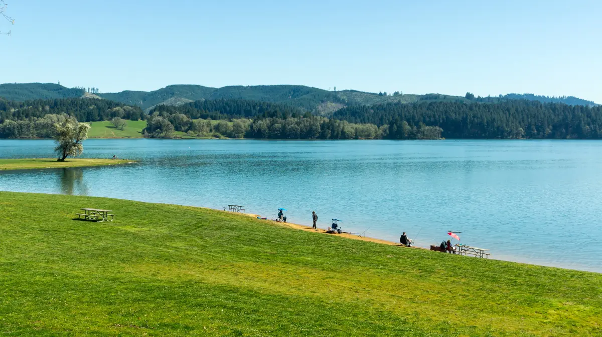 Forest Grove scenery