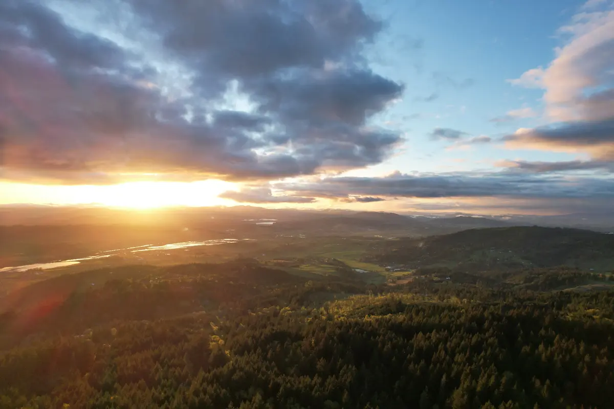 Forest Grove