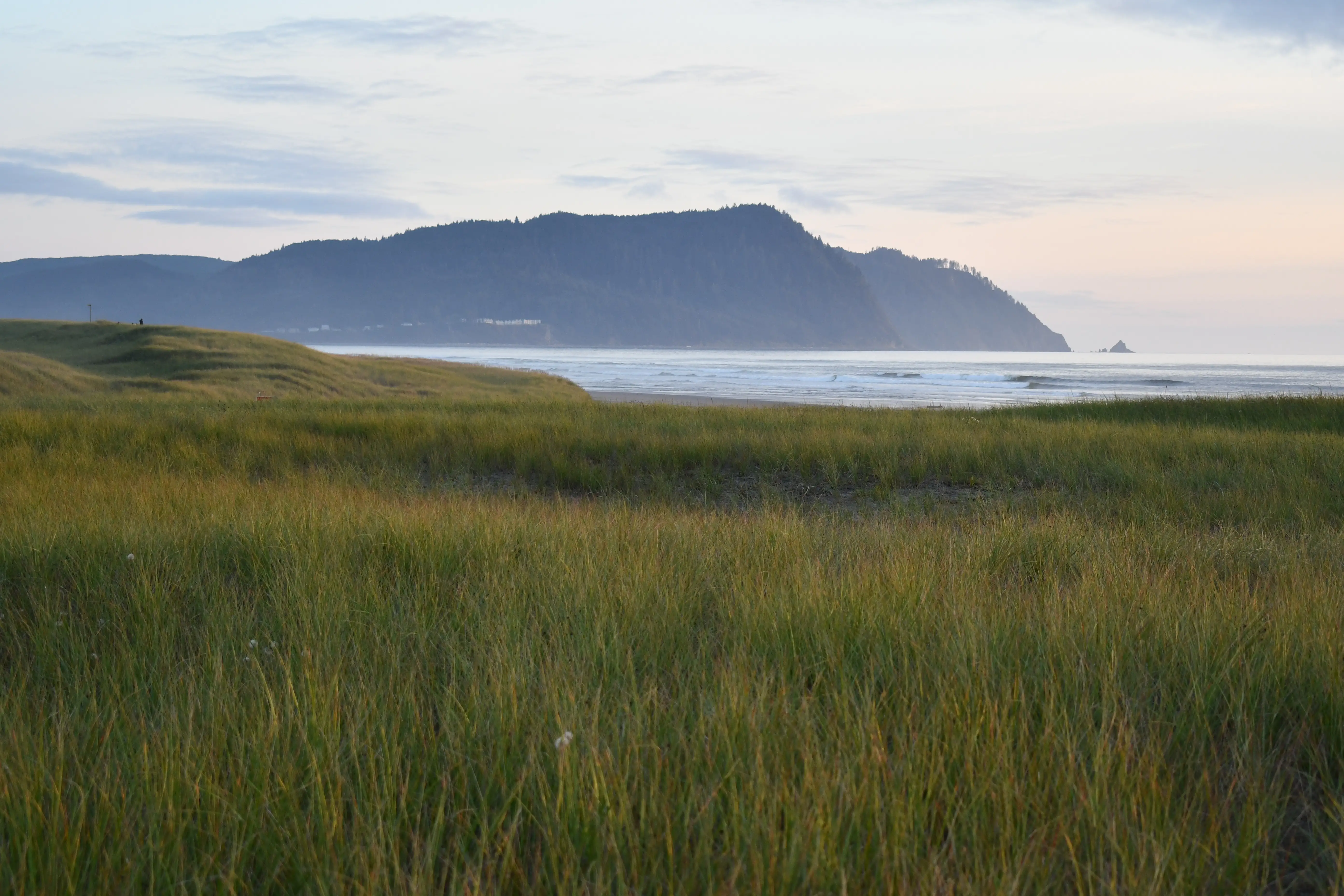 Gearhart neighborhood