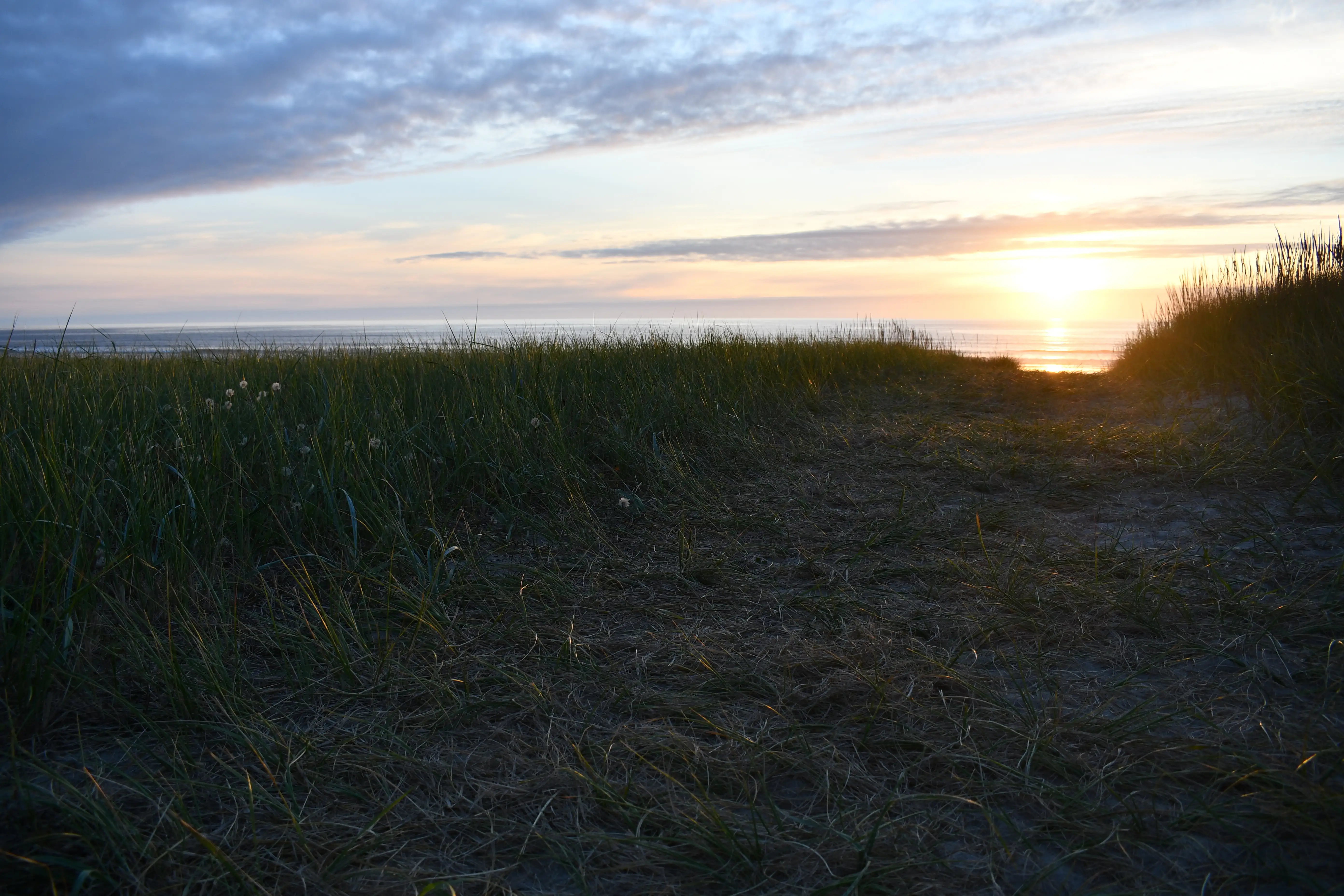 Gearhart scenery