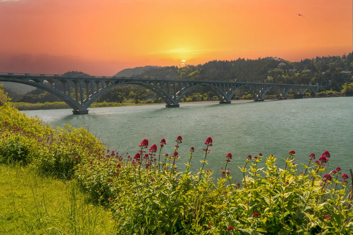 Gold Beach scenery