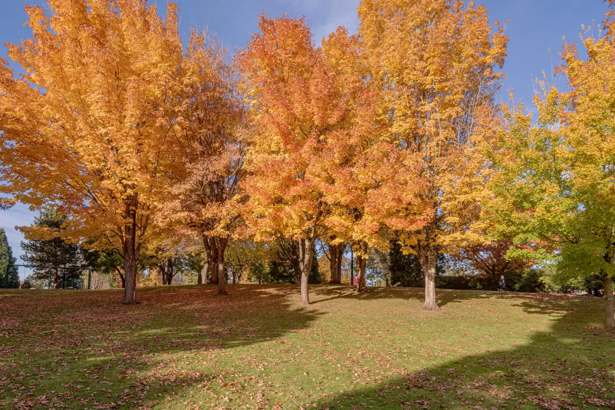 Gresham scenery