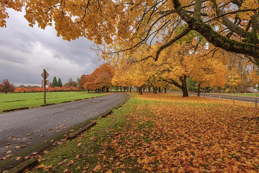 Gresham