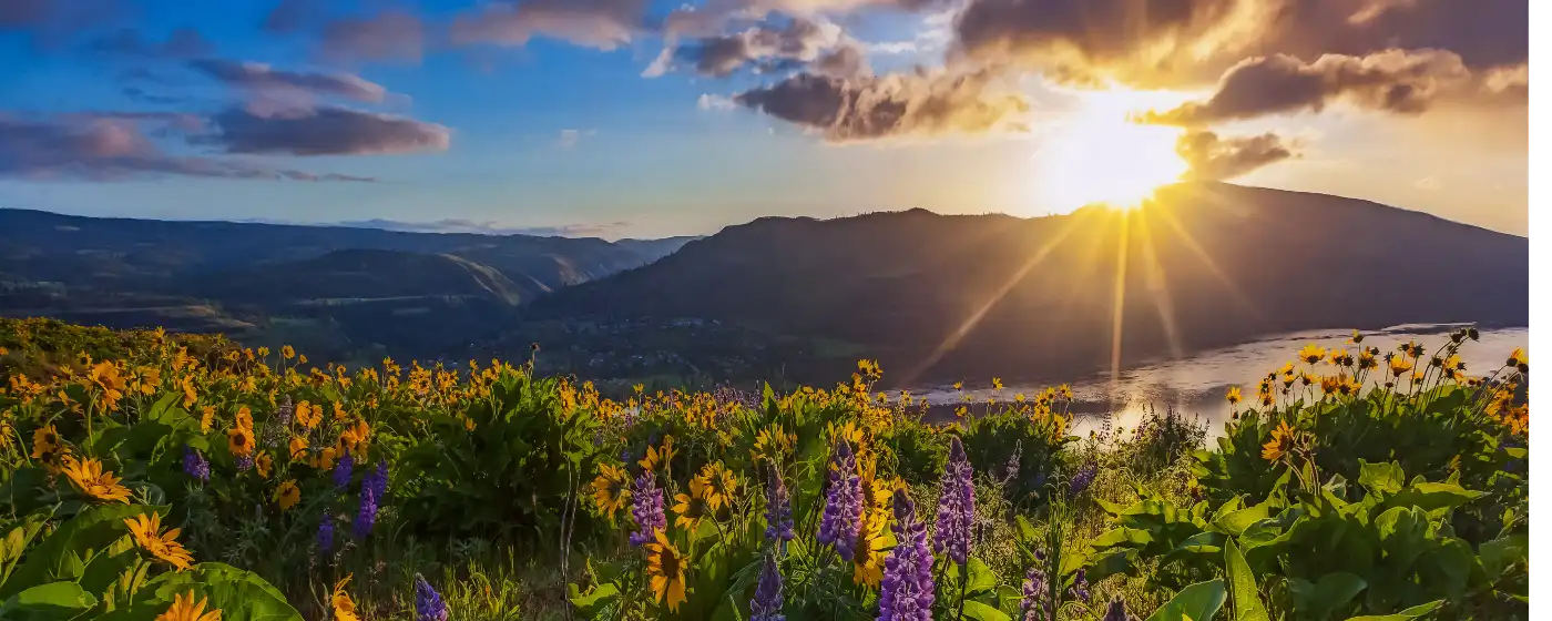 Living in Hood River, Oregon: What to Know Before You Move