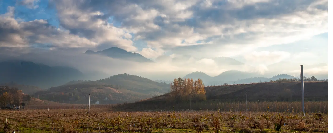 Living in Jacksonville, Oregon: What to Know Before You Move