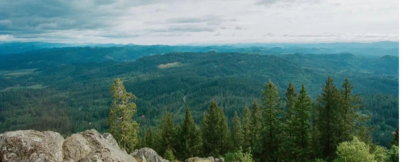 Living in Junction City, Oregon: What to Know Before You Move