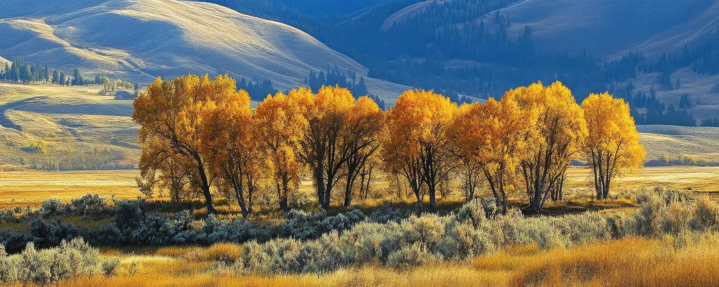 Living in Klamath Falls, Oregon: What to Know Before You Move