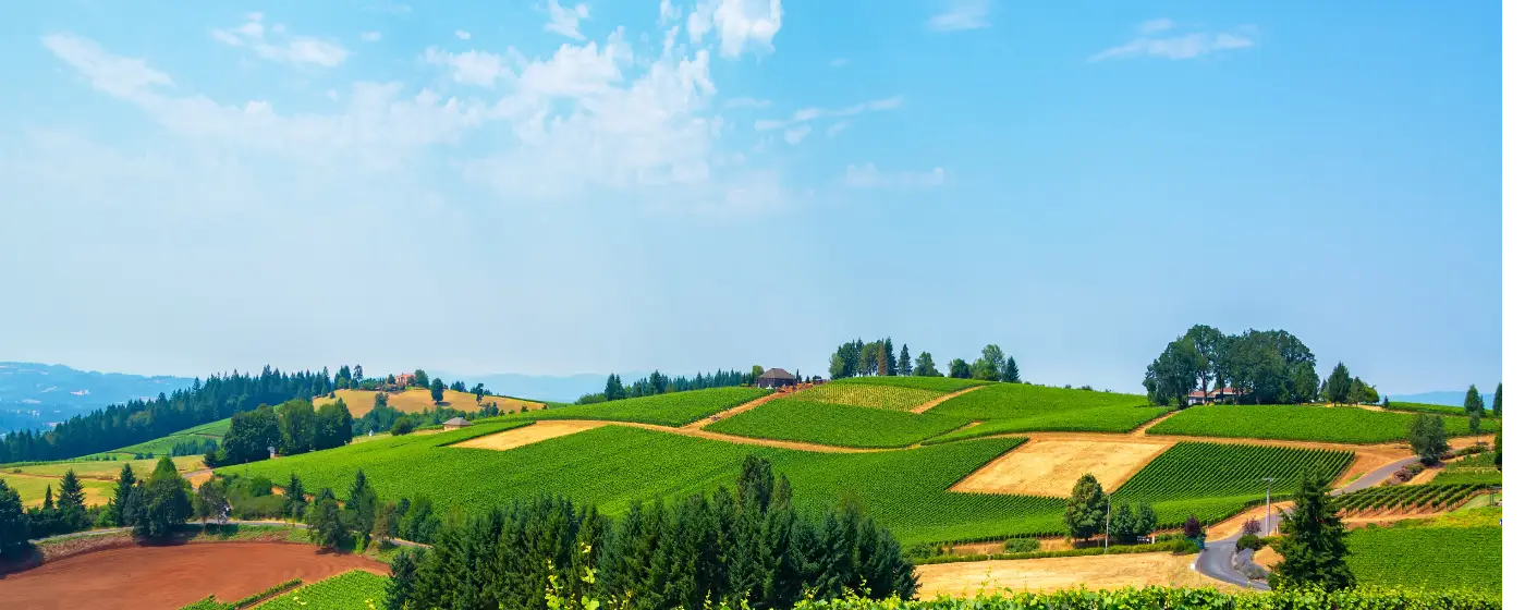 Living in McMinnville, Oregon: A Complete Guide for People Considering a Move