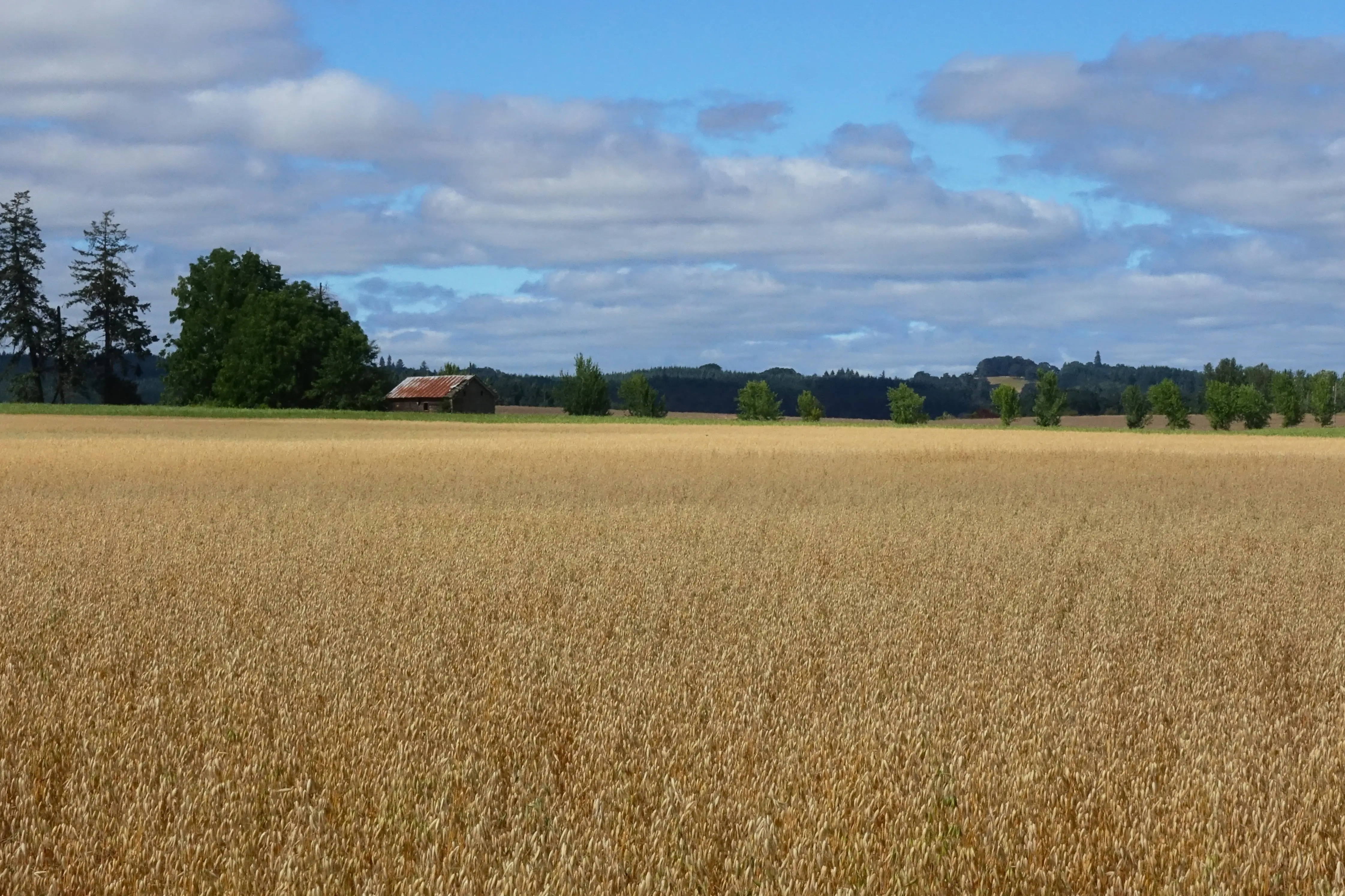McMinnville neighborhood