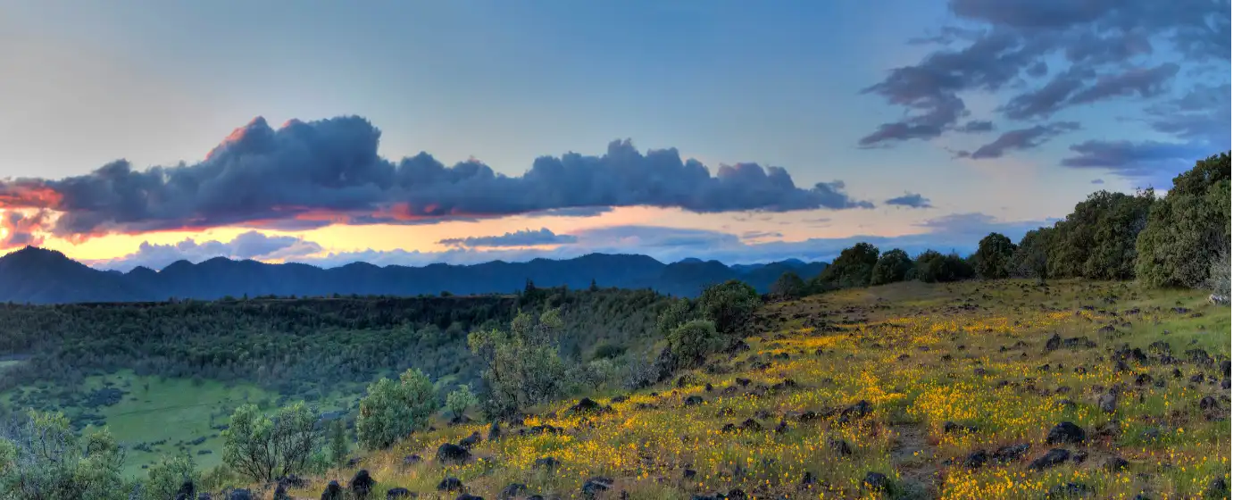 Living in Medford, Oregon: What to Know Before You Move