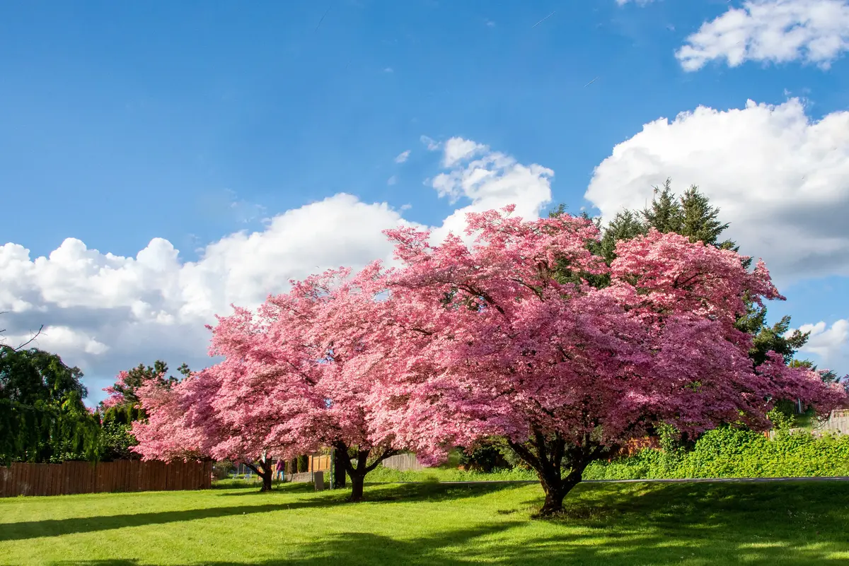 Milwaukie scenery