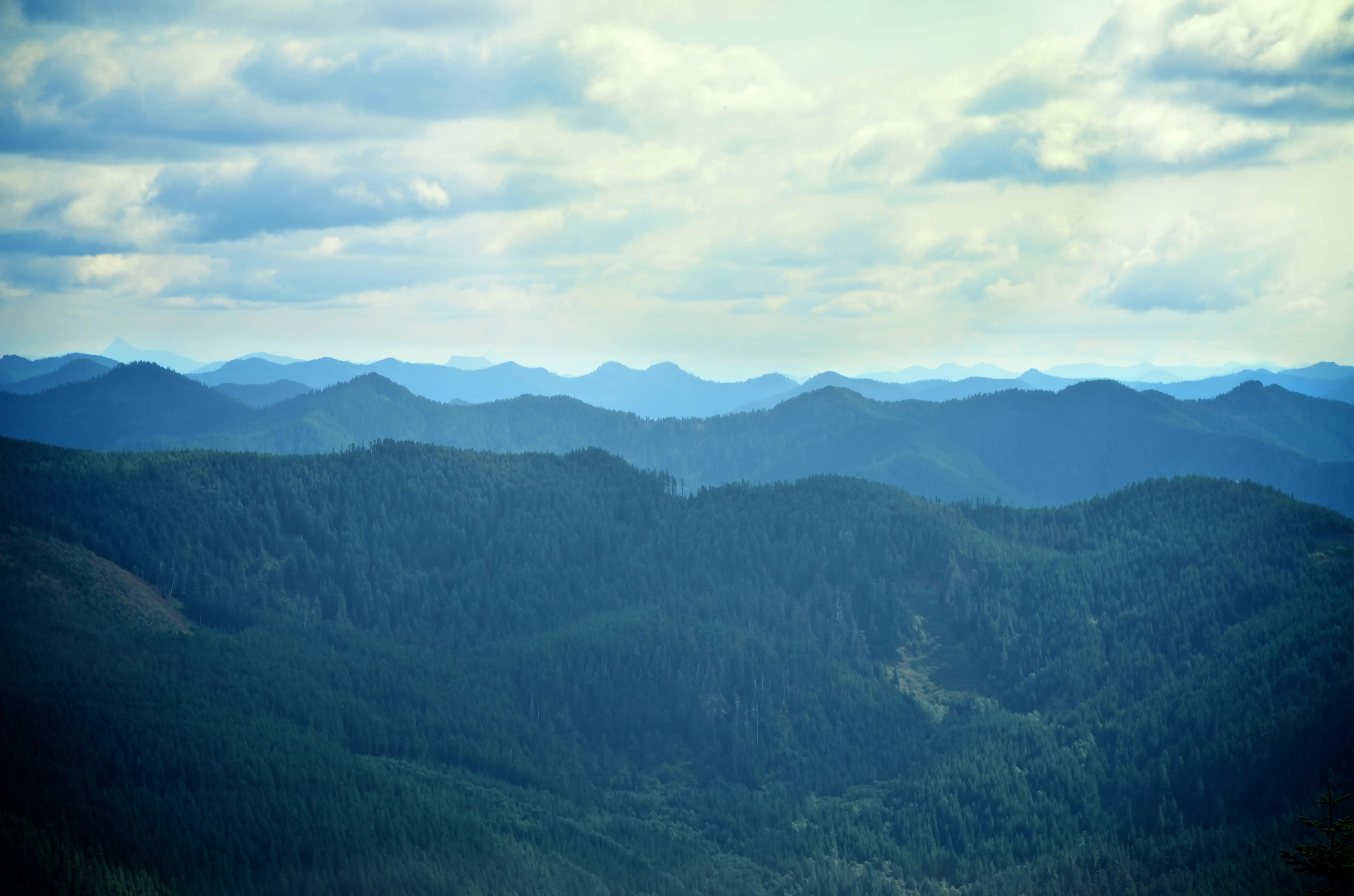 Molalla scenery