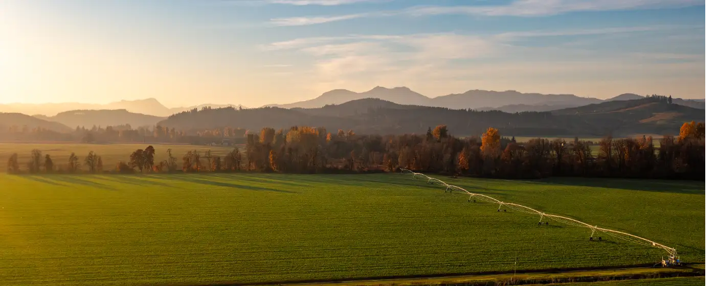 Living in Monmouth, Oregon: What to Know Before You Move