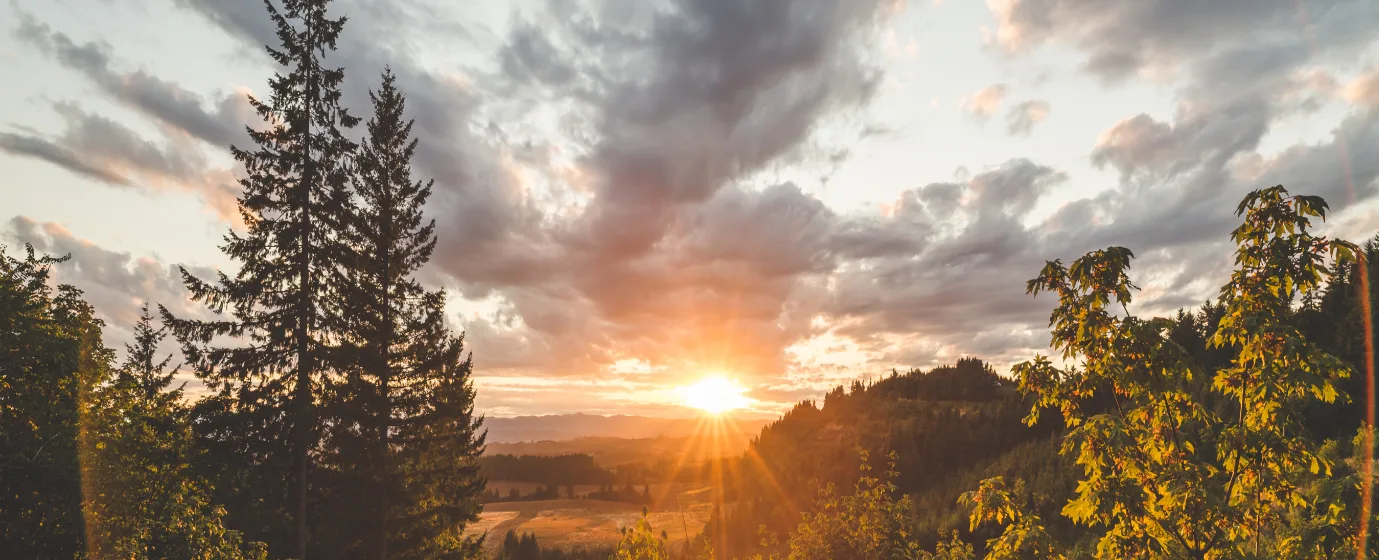 Living in Newberg, Oregon: A Local's Guide to Moving Here