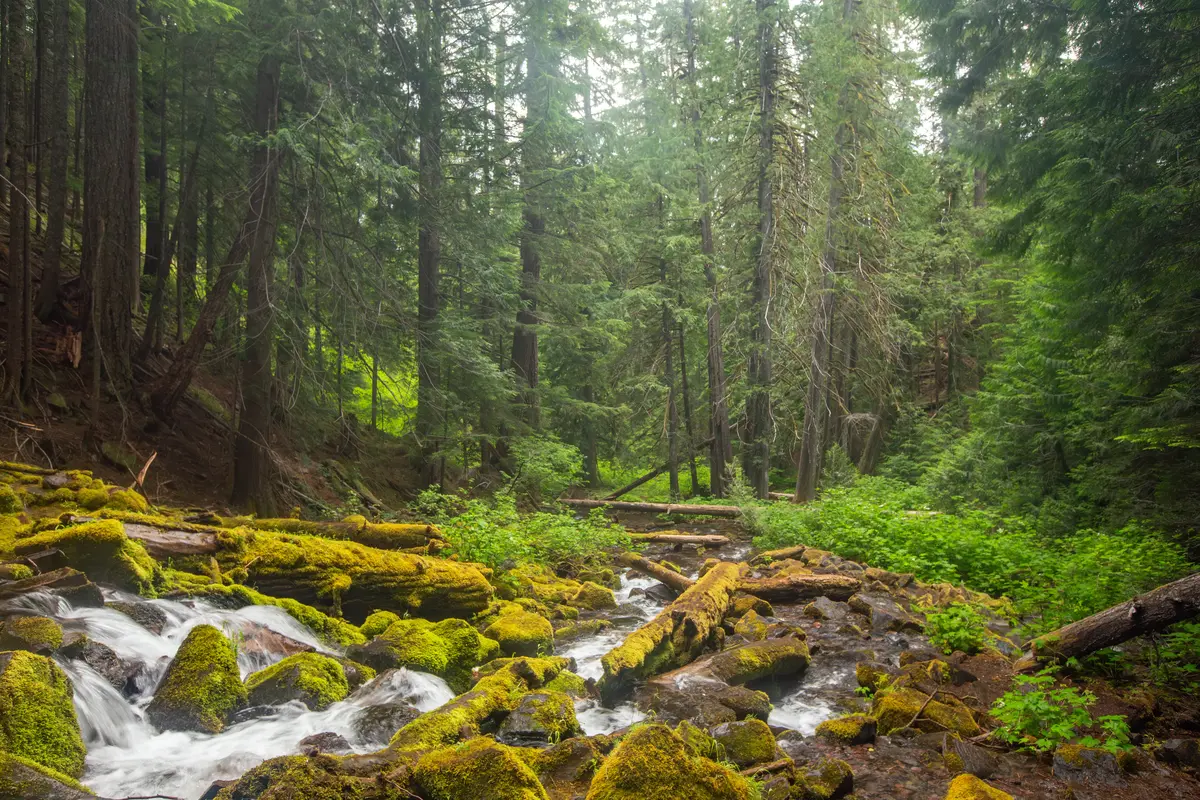 Oregon City scenery