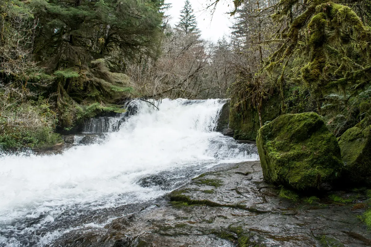 Philomath scenery
