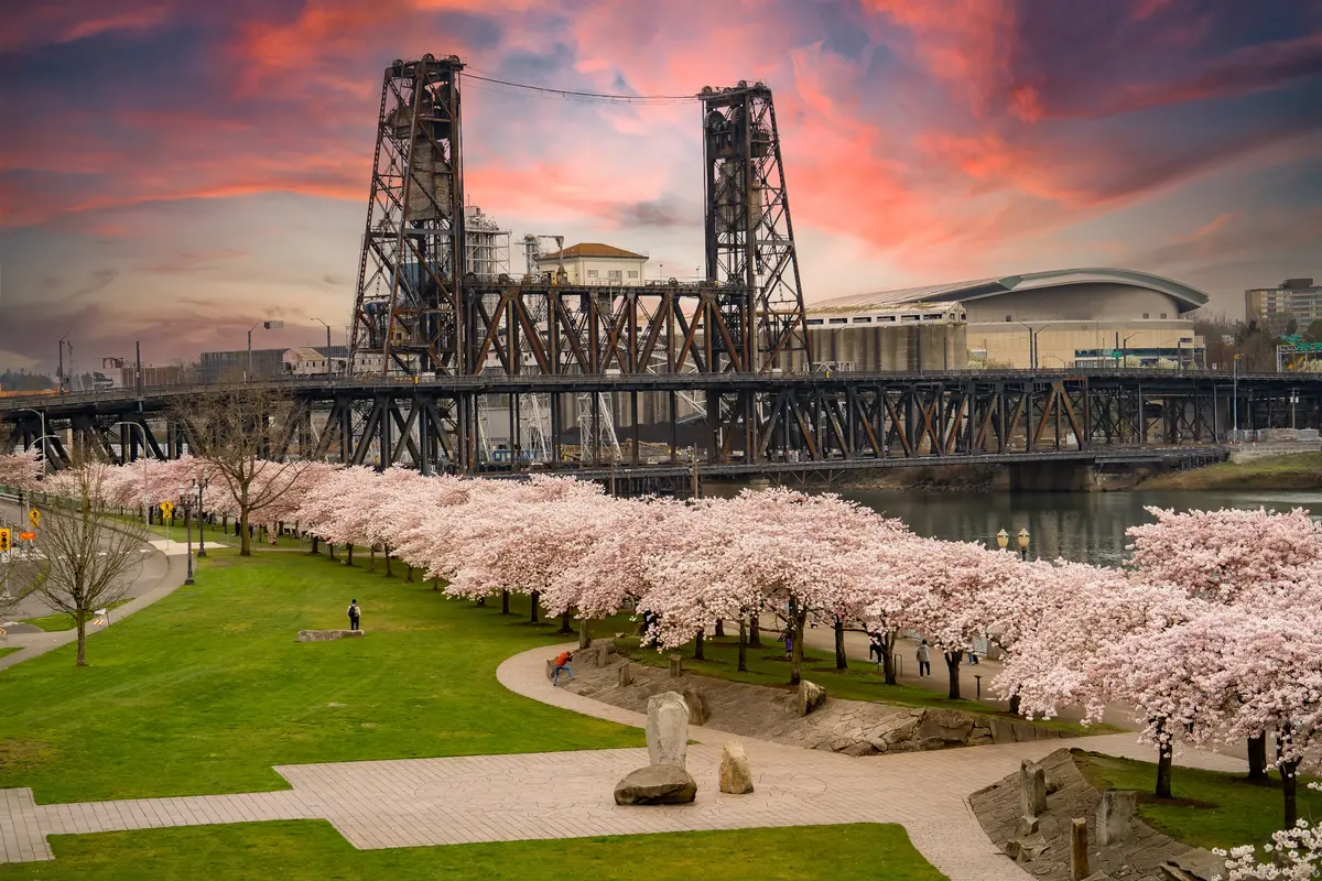 Portland neighborhood