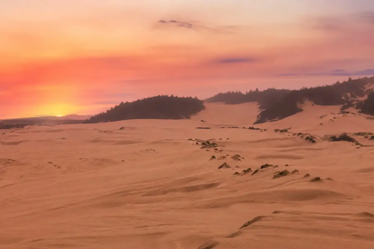 Reedsport